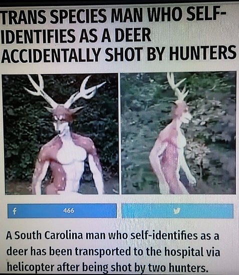 28274.jpg