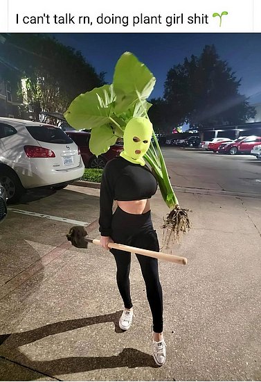 28279.jpg