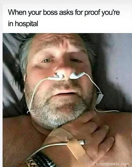28323.jpg