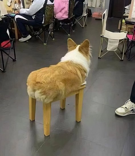 28369.jpg