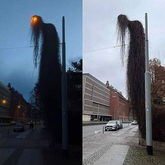 28383.jpg