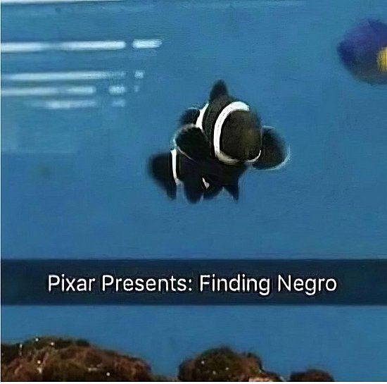 28528.jpg