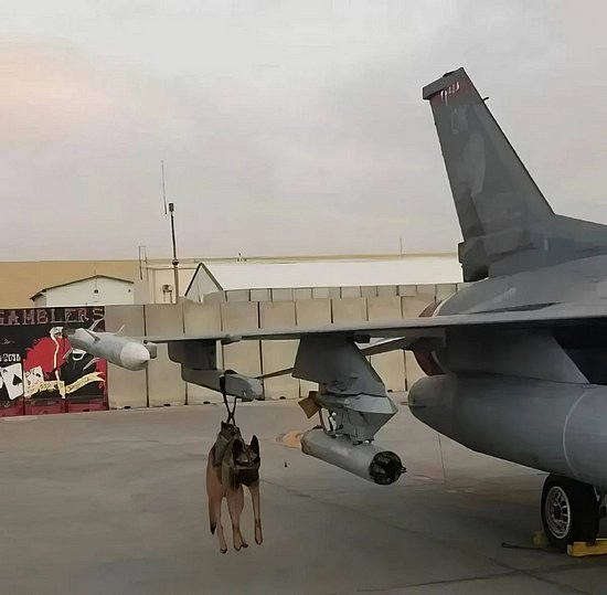 28532.jpg