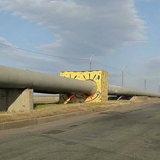 28572.jpg