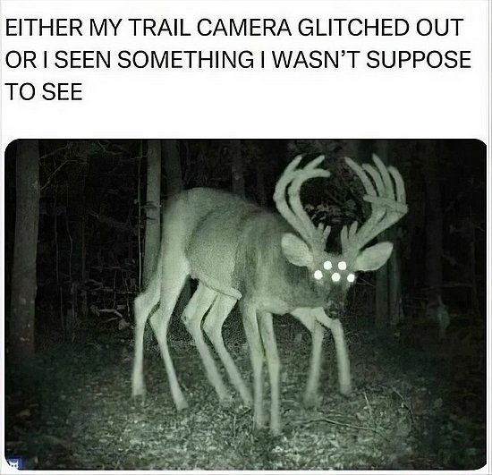 28649.jpg