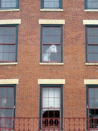 28854.jpg