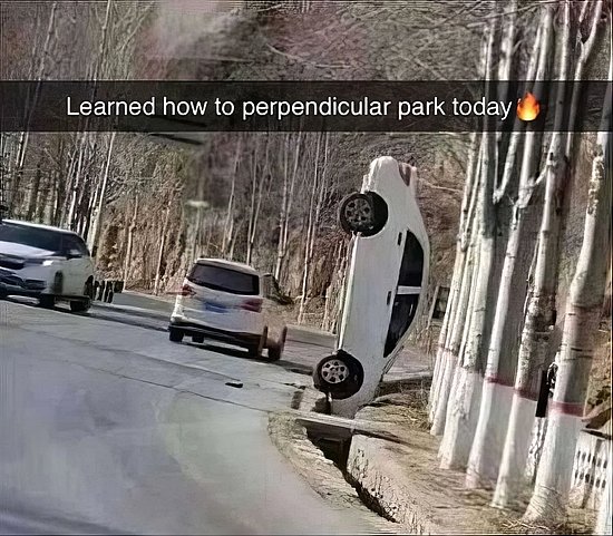 28883.jpg