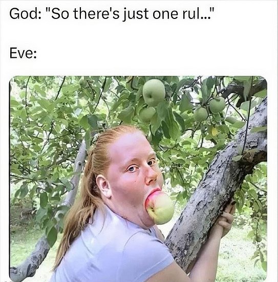 28897.jpg