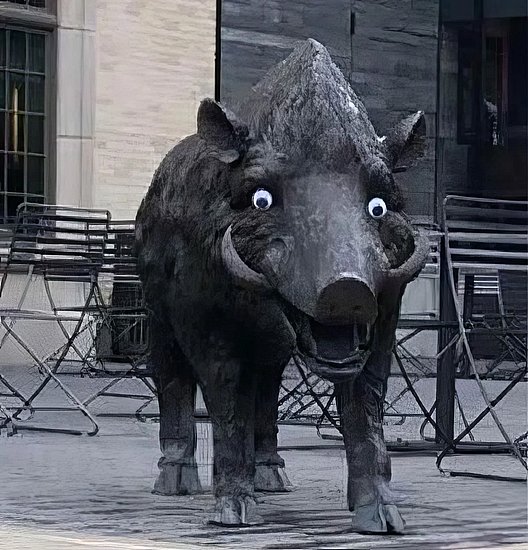28955.jpg