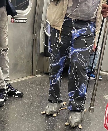28973.jpg