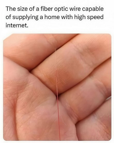 29242.jpg