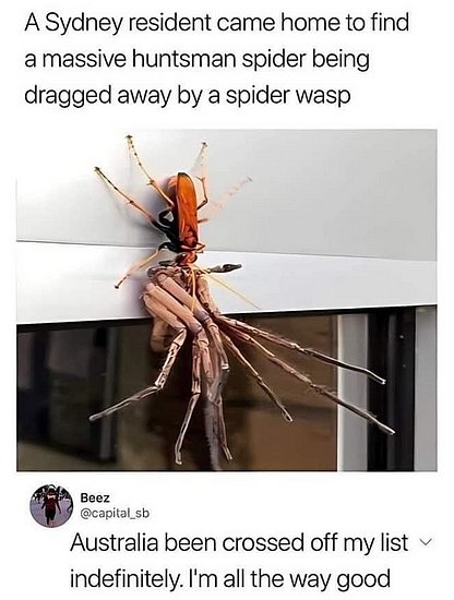 29573.jpg