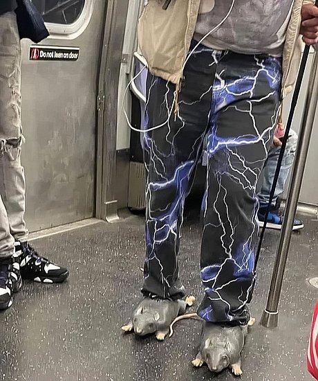 29633.jpg