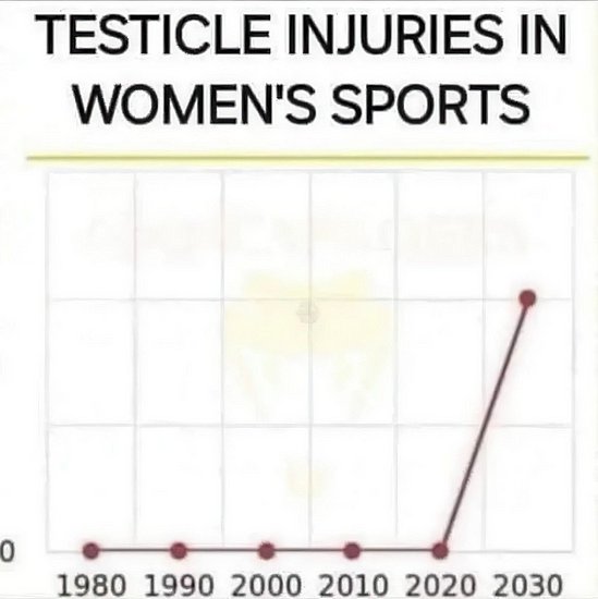29715.jpg