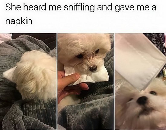 29755.jpg