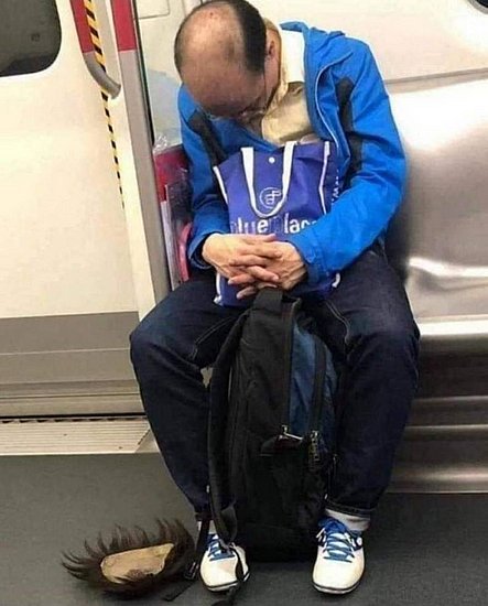 20508.jpg