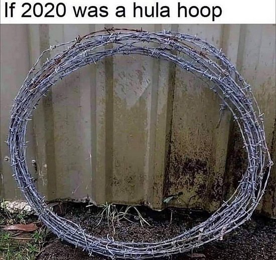 20588.jpg