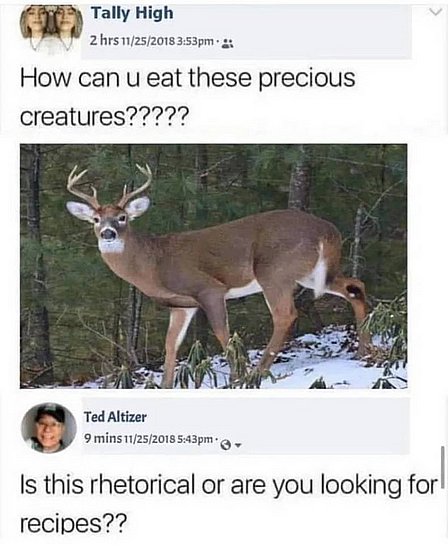 20593.jpg