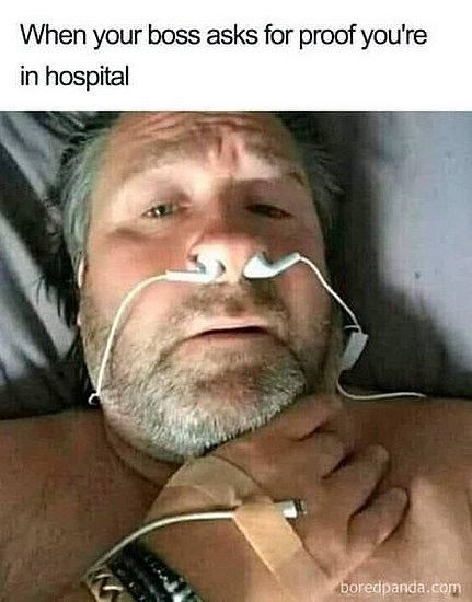 20630.jpg