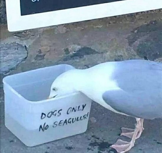 20765.jpg