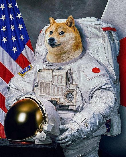 20843.jpg