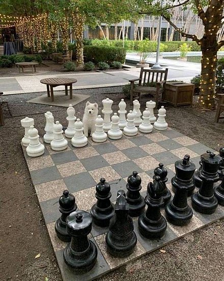 20853.jpg