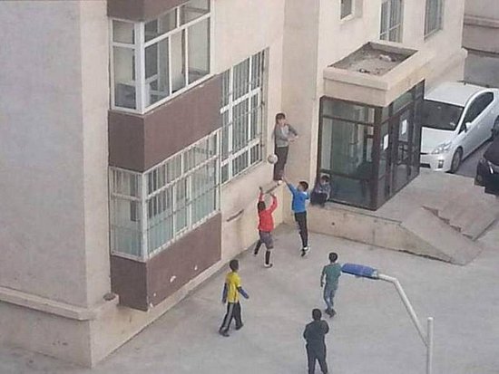 20902.jpg
