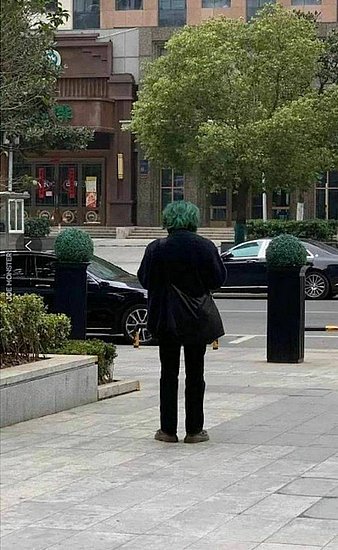 20938.jpg