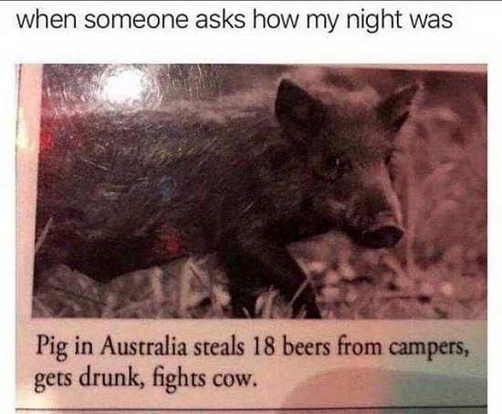 20959.jpg