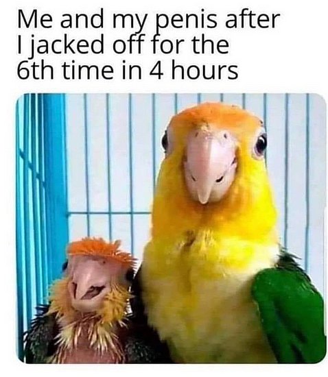 21133.jpg
