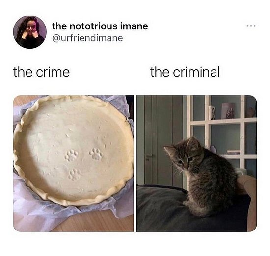 21232.jpg
