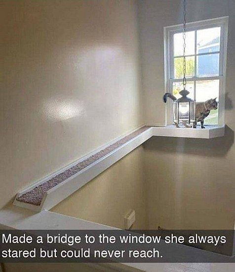 21289.jpg