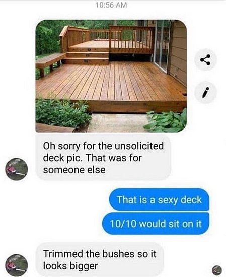 21310.jpg