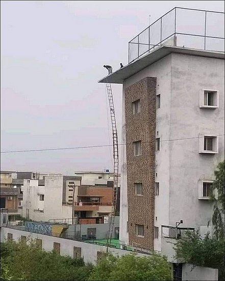 21341.jpg