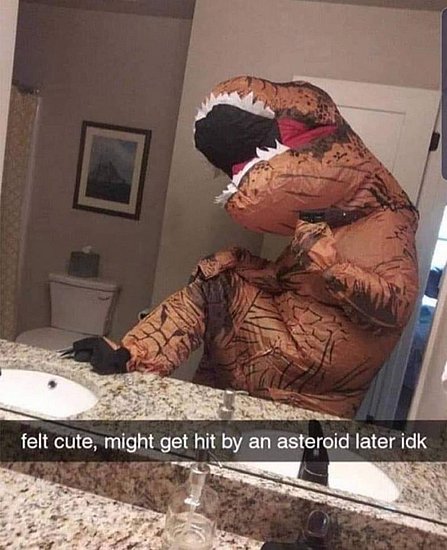 21727.jpg