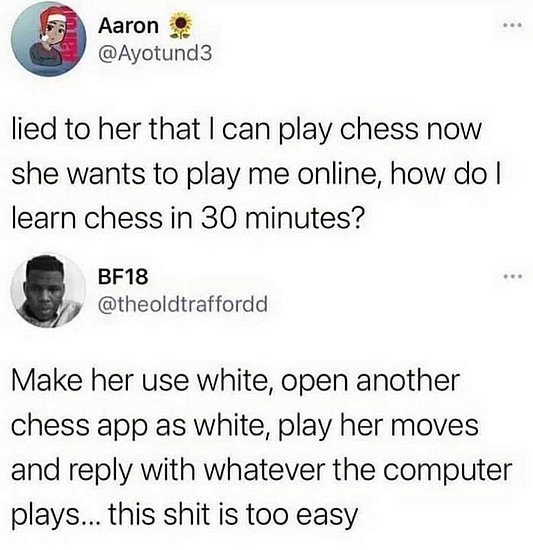 21784.jpg
