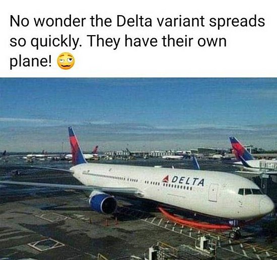 21848.jpg