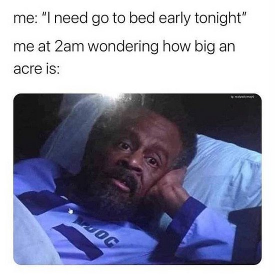 21868.jpg