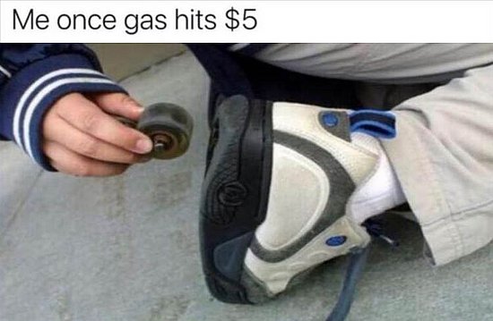 21883.jpg