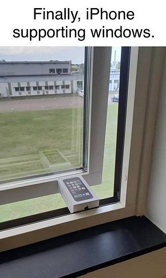 22137.jpg
