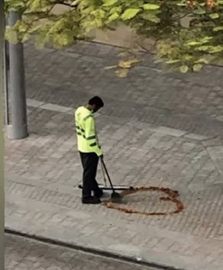 22140.jpg