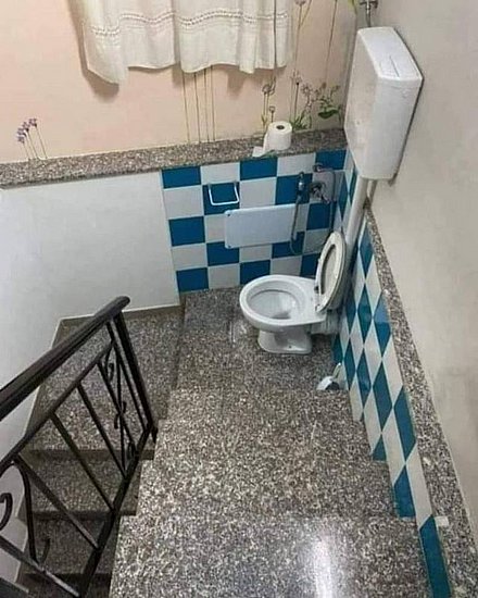 22397.jpg