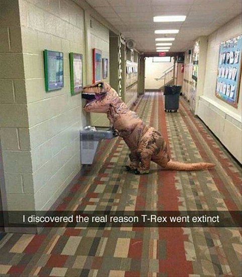 22399.jpg