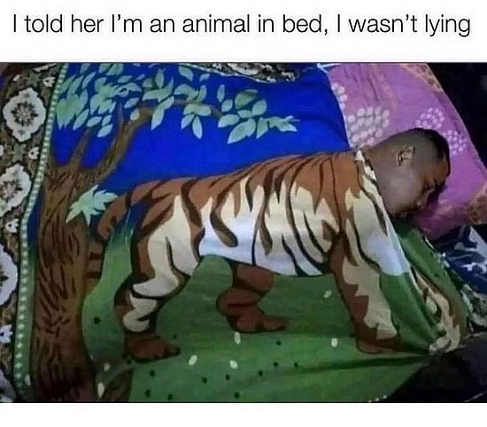 22425.jpg
