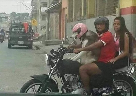 22442.jpg