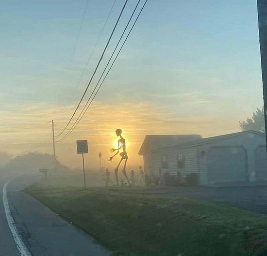 22470.jpg