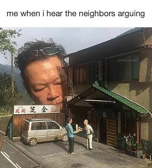 22549.jpg