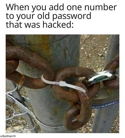22646.jpg