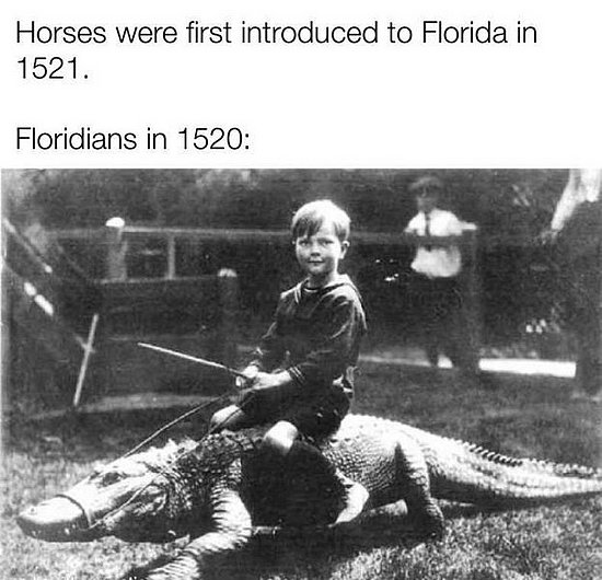 22728.jpg