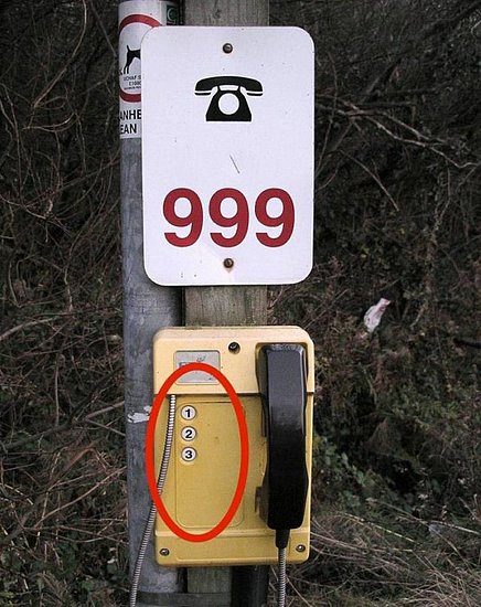 22852.jpg